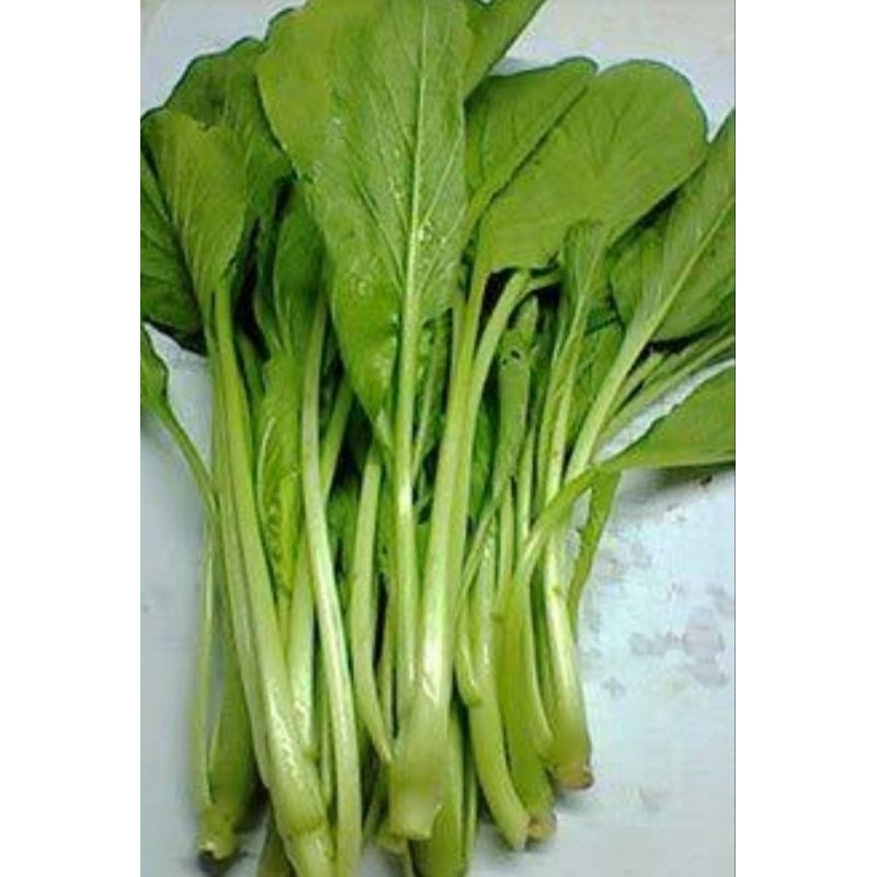 

sayur cesin atau sawi hijau