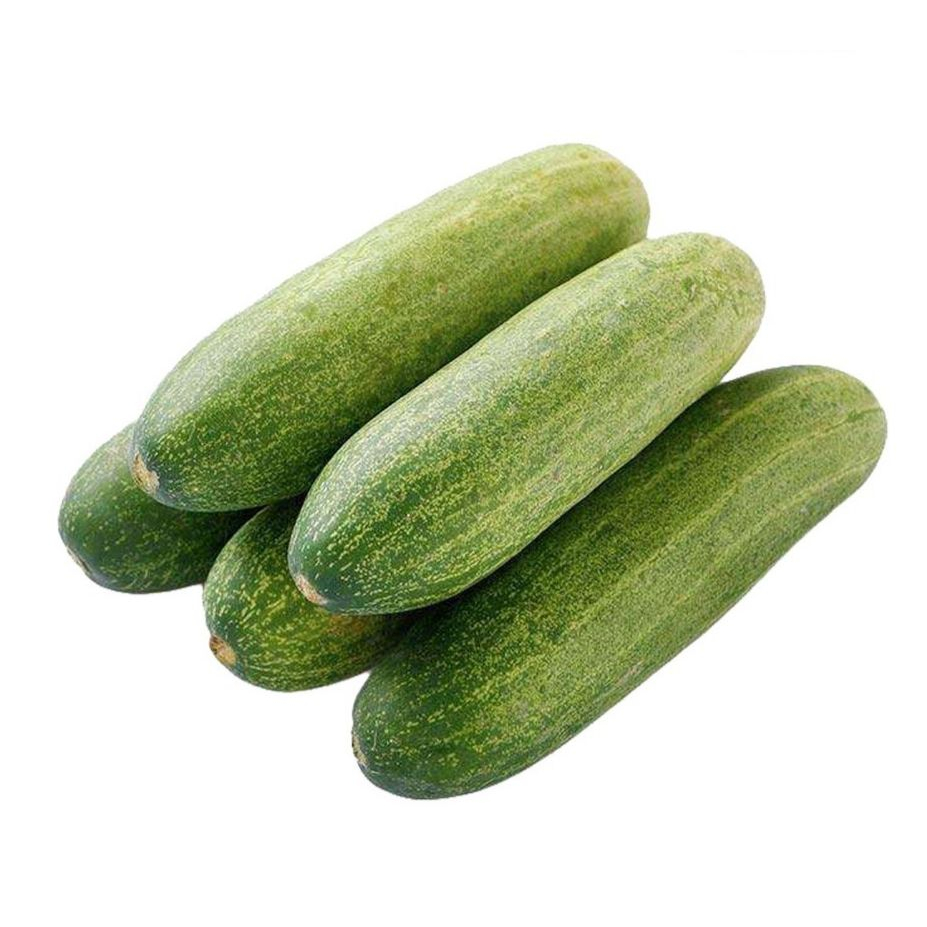 

Timun Lokal / Ketimun / Mentimun / Cucumber - Lalapan