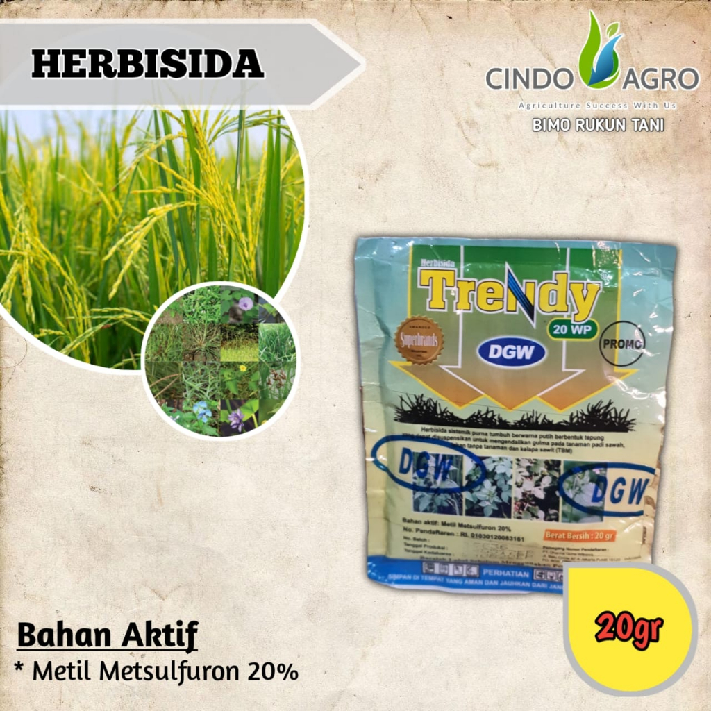 TRENDY 20 WP/WG DGW - 20gram