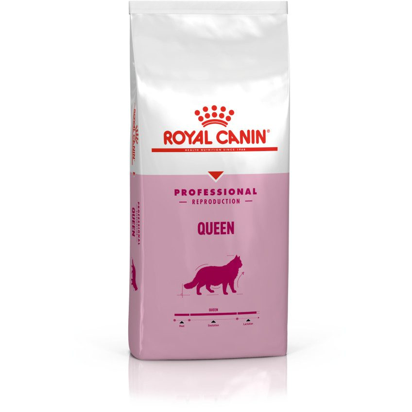 Royal Canin Queen 4kg Makanan Kucing Hamil dan Menyusui