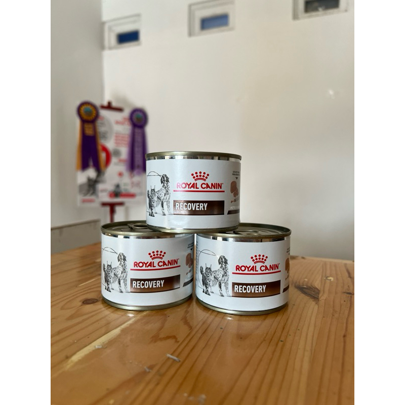 Royal Canin Recovery