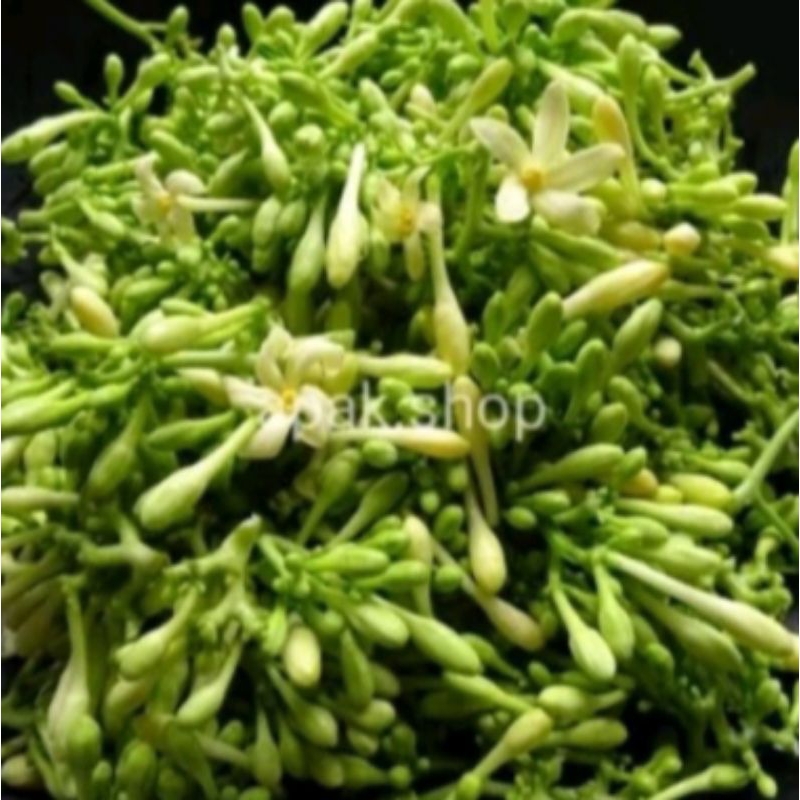 

Sayur Bunga Pepaya 250 gr