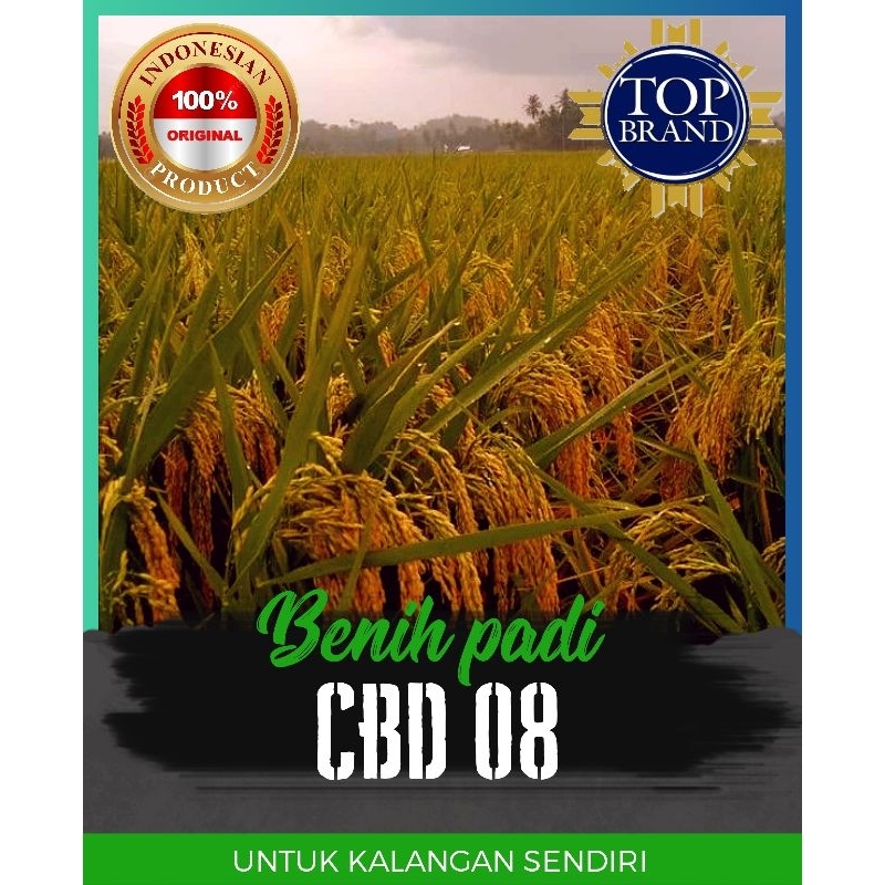 benih padi cbd 08 1kg