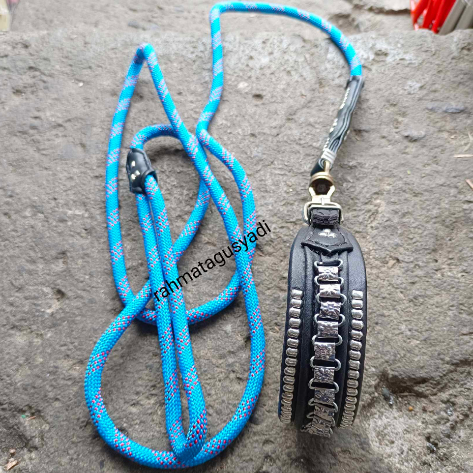 KALUNG DAN TALI ANJING BERBURU PETIK SATU UK 35 -40 CM