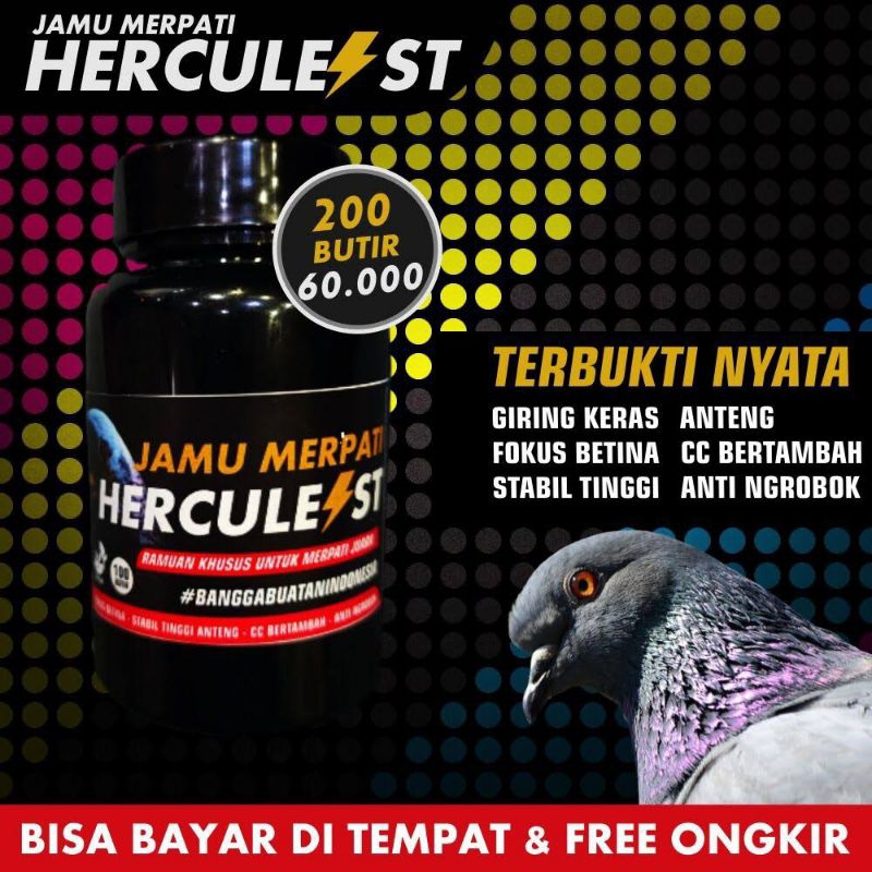 JAMU MERPATI HERCULES JAMU MERPATI KOLONG MERPATI TINGGIAN STUT LOSDOR