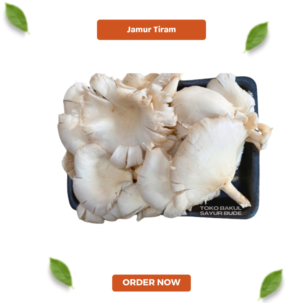 

Jamur Tiram - Sayuran Segar - Sayuran Fresh - Sayuran Fresh