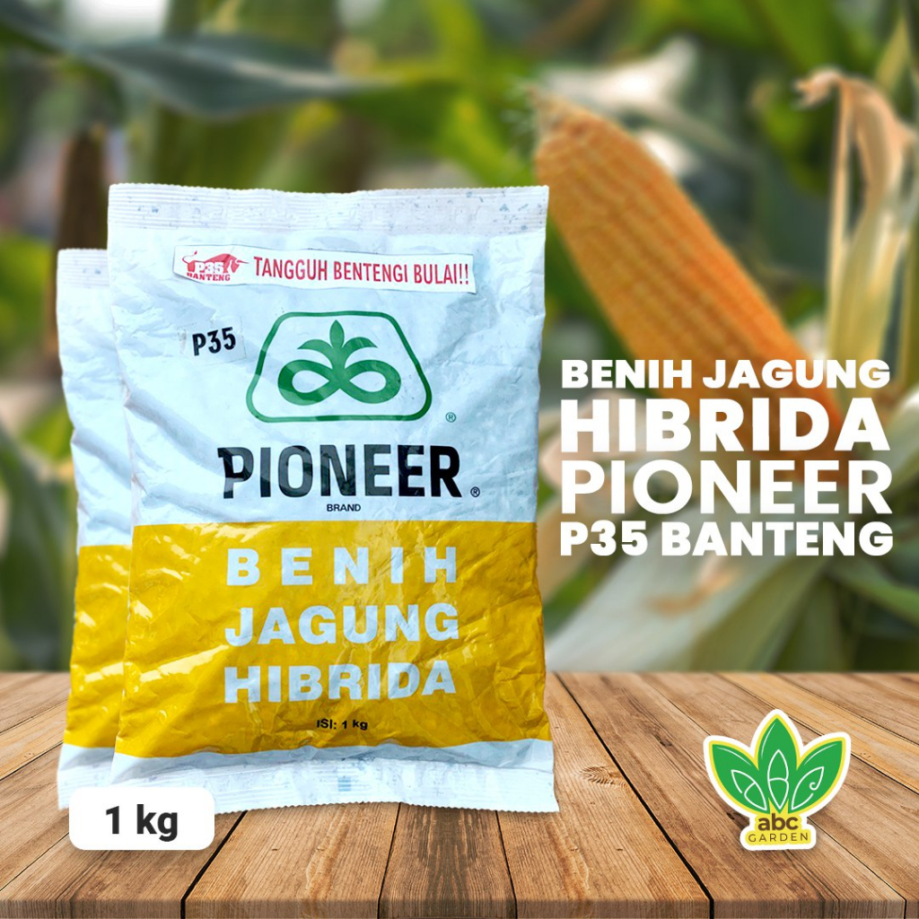 [1 Kg] Benih Jagung Hibrida Pioneer P35