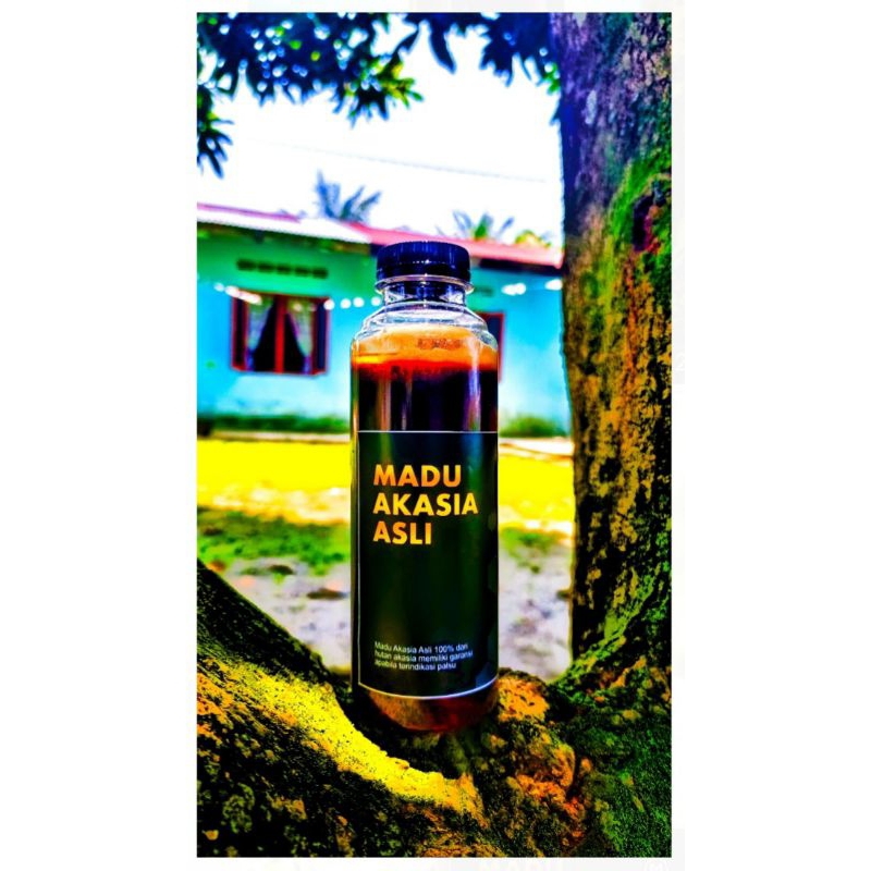 

Madu Akasia Murni dari Hutan Sumatera