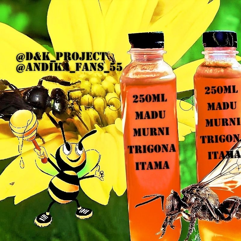 

Madu klanceng/trigona itama 250ml. madu murni garansi uang kembali.