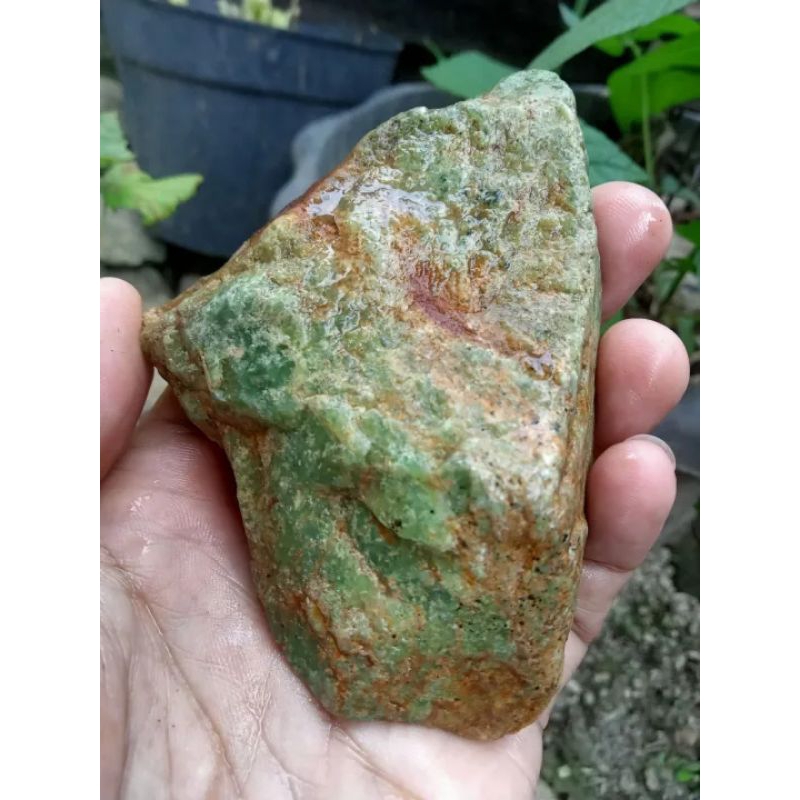 ✅ Batu Lumut Sungai Dareh Kumbang Jati ( Rough / Bahan Batu Akik Natural asli Dhamasraya - Sumatera 