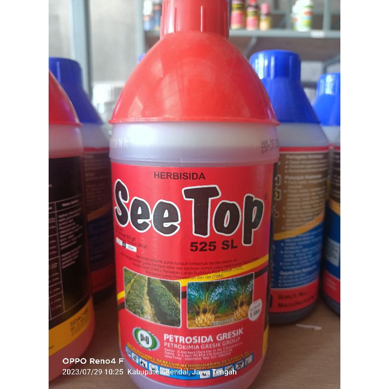 See Top 1 Liter || Hebrisida