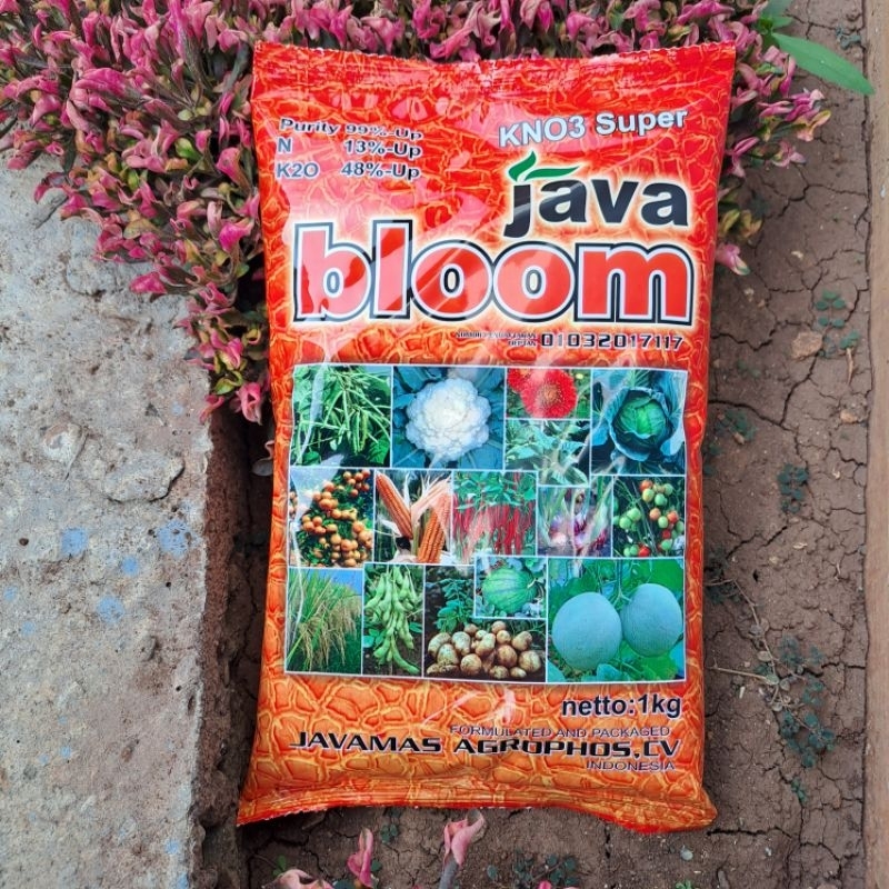 

Java Bloom 1kg - KNO3 Super dari Java Mas