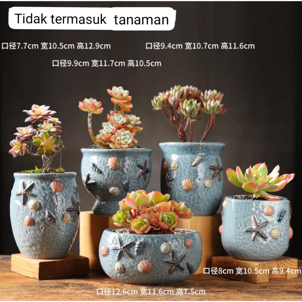 Ecer Pot Keramik tema Ocean
