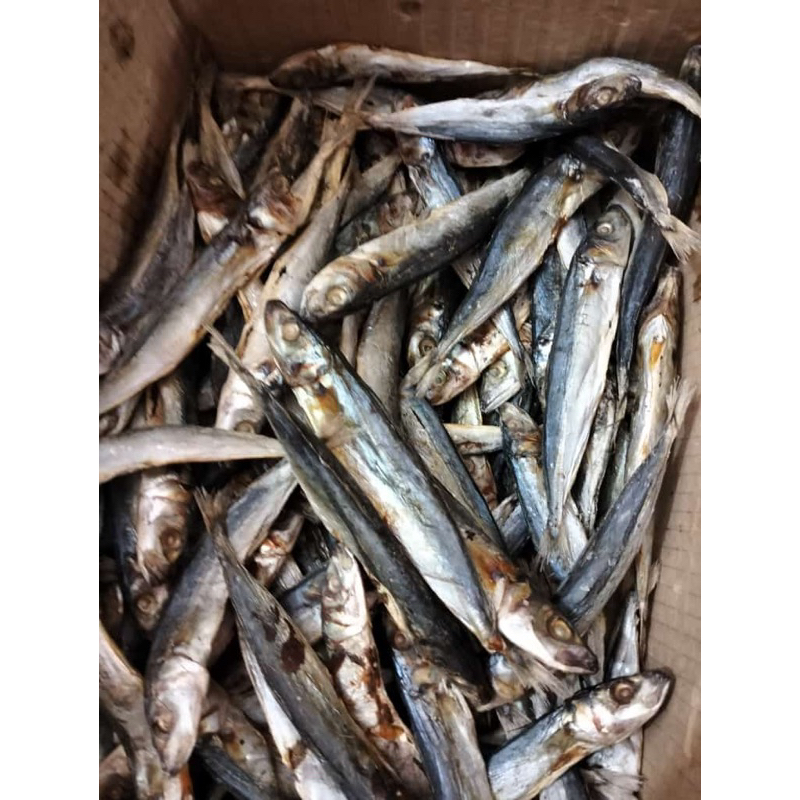 

ikan asin pedo 250gram