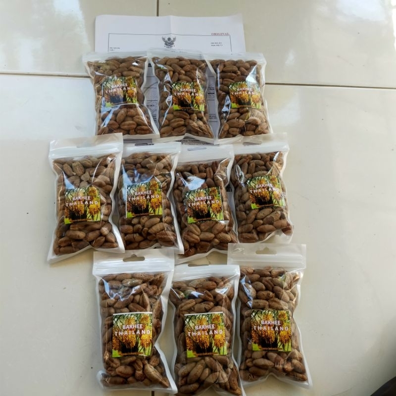 

Biji Kurma Thailand bersertifikat varietas Barhee ( biji barhee Thailand)