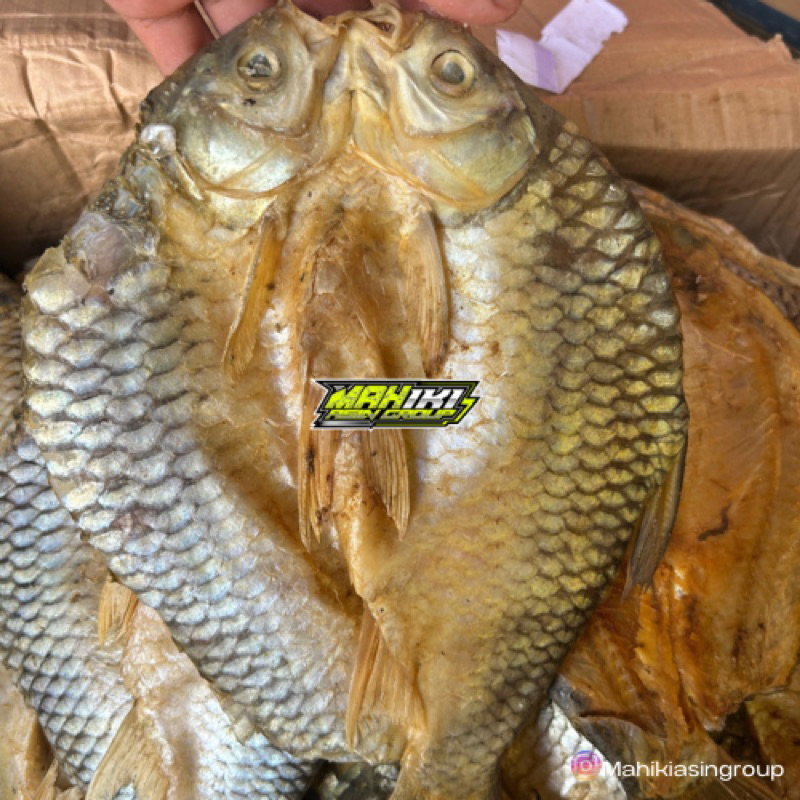 

Ikan Asin Tawes Besar 500g