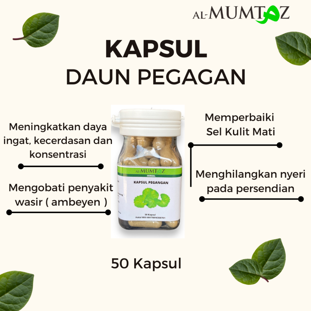 

Kapsul Pegagan Herbal Pelancar Darah Otak Meningkatkan Daya Ingat Organik Asli Premium wasir
