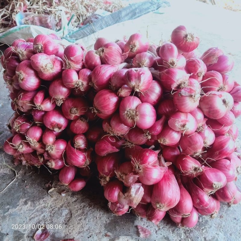 

Bawang Merah Asli Pamekasan