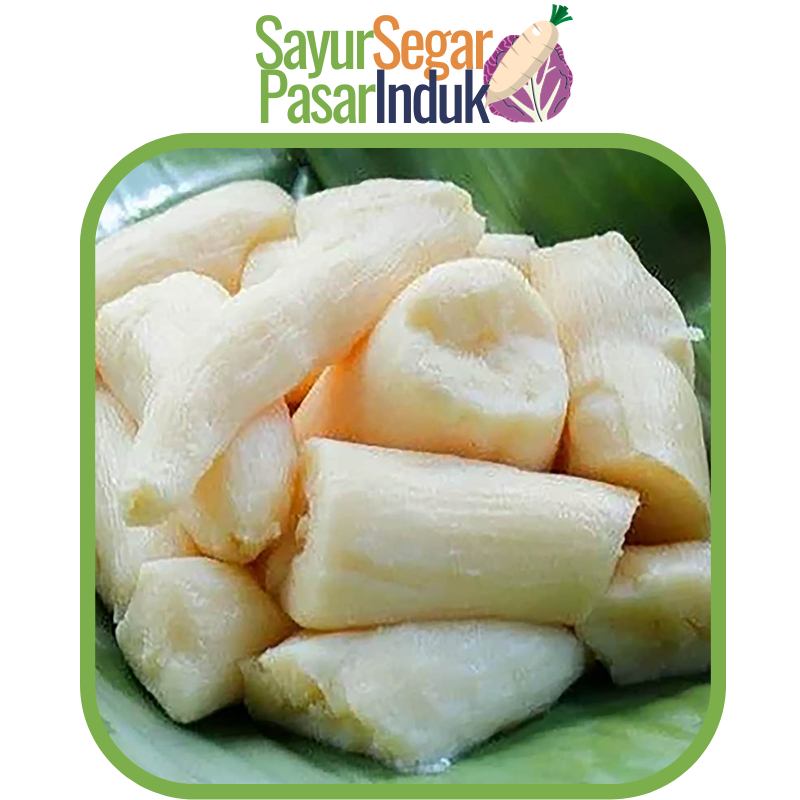 

Tape Singkong Enak Sayur Segar Pasar Induk