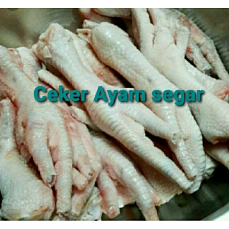 

ceker ayam besar segar