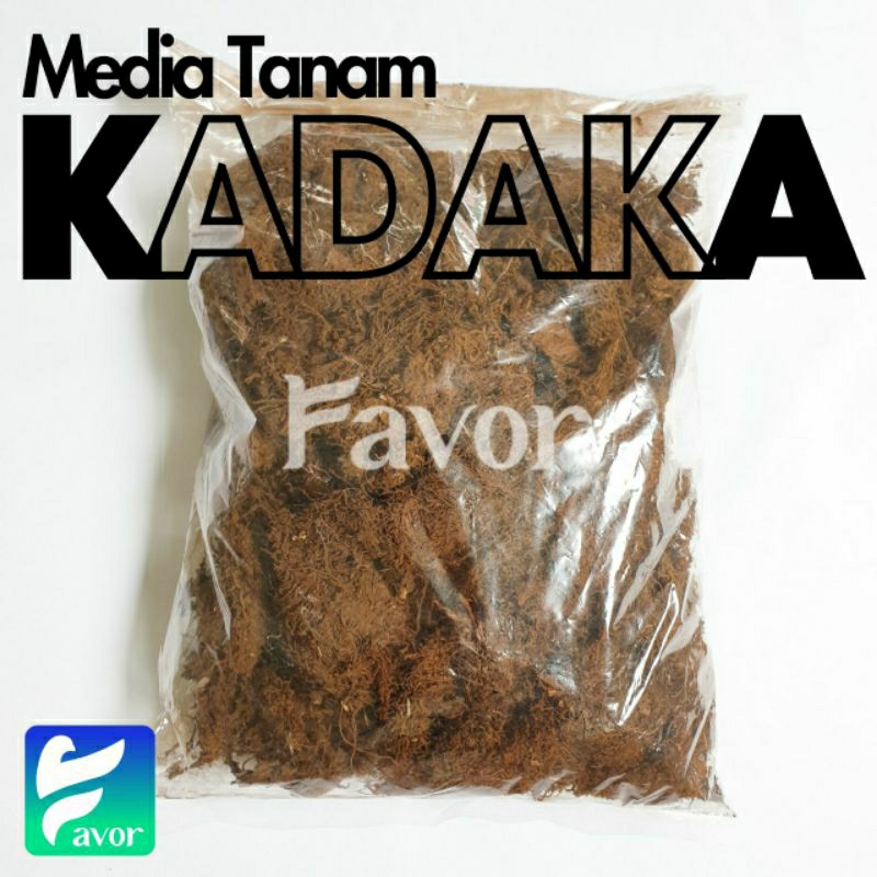 MOSS HITAM Halus AKAR KADAKA Media Tanam Anggrek / Tanaman Hias Bunga Epifit SUDAH DIBERSIHKAN