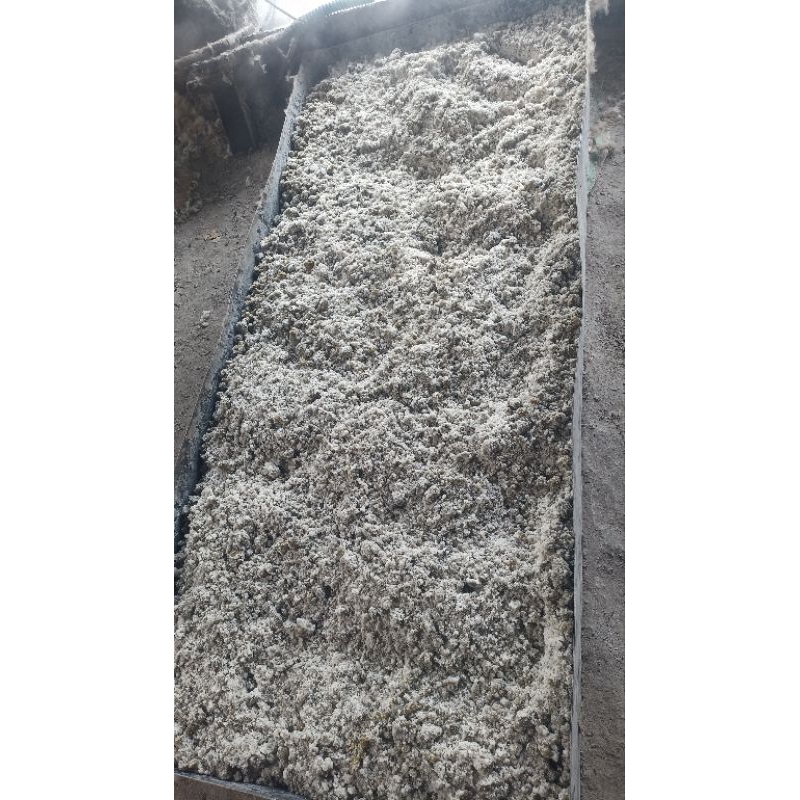 

Soda KIE / Soda kapuk