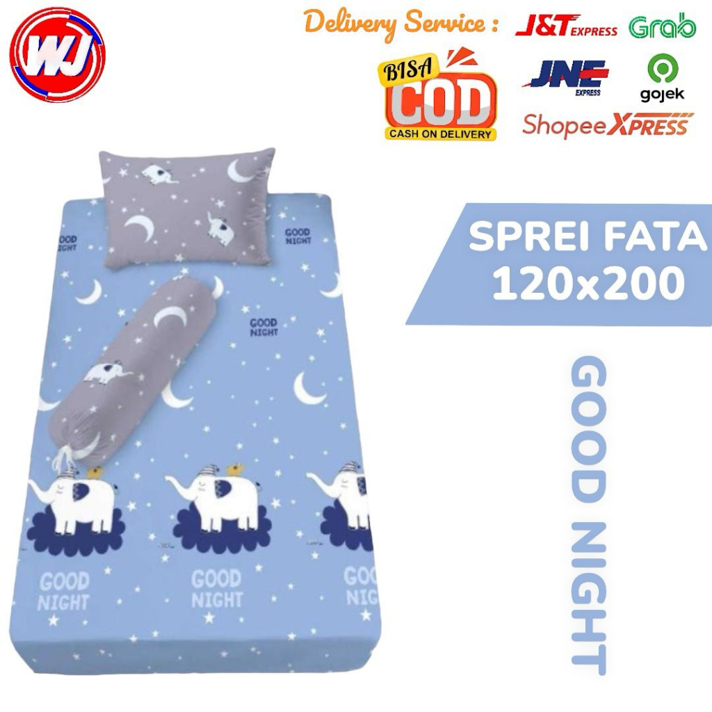 FATA-SPREI SINGLE 120X200 GOOD NIGHT