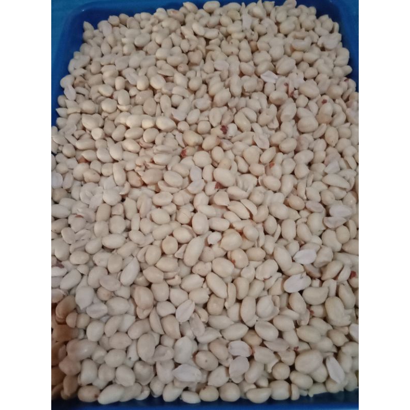 kacang bawang mentah 1kg