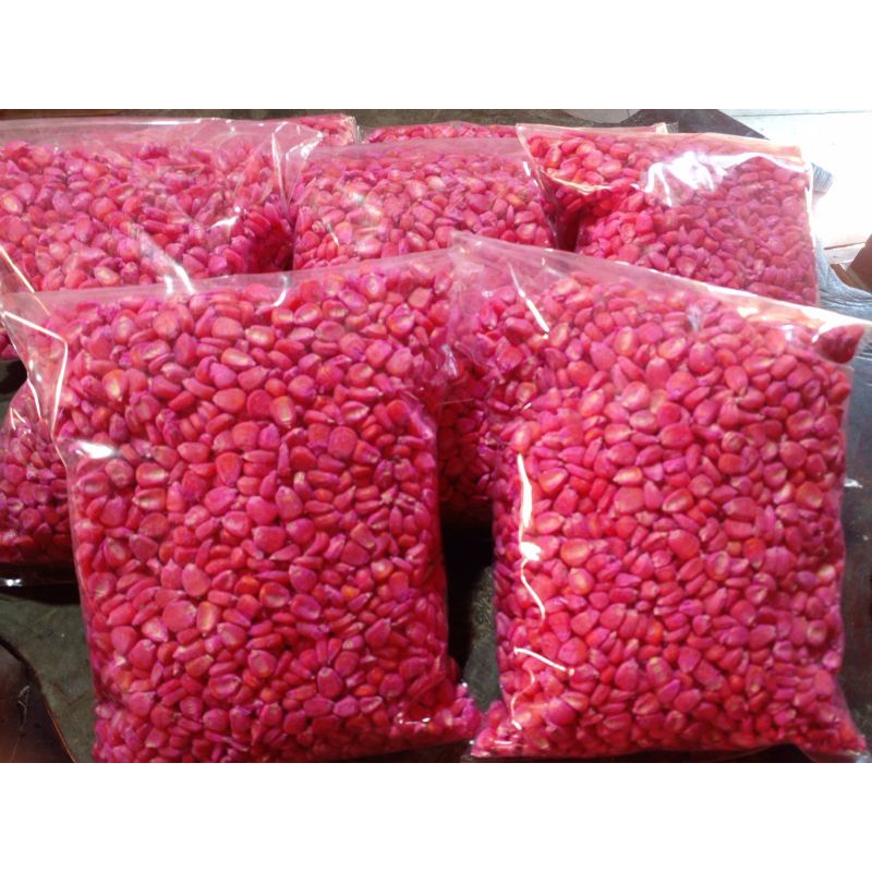 1000gram Benih/bibit Jagung siap tanam Perkasa sumo NK andalan adv jago adv bejo