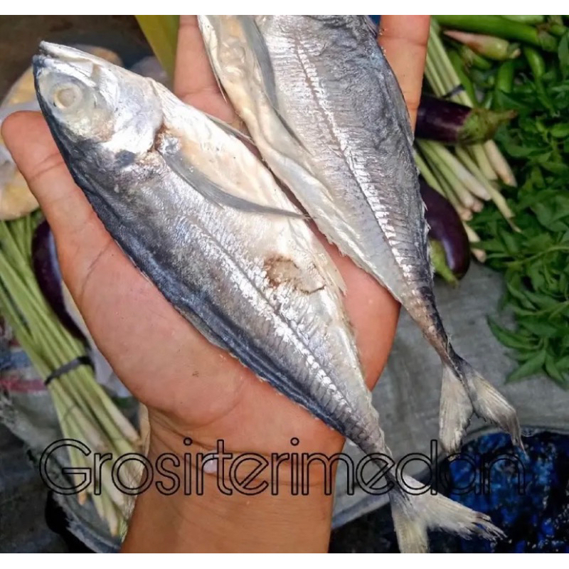 

Ikan asin cencaru 500 gram