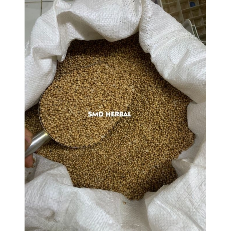 

RB22 Ketumbar Hitam Organik Premium Grosir [ 500 Gram ]-SMD Sembuhkan Darting Kolesterol Jantung