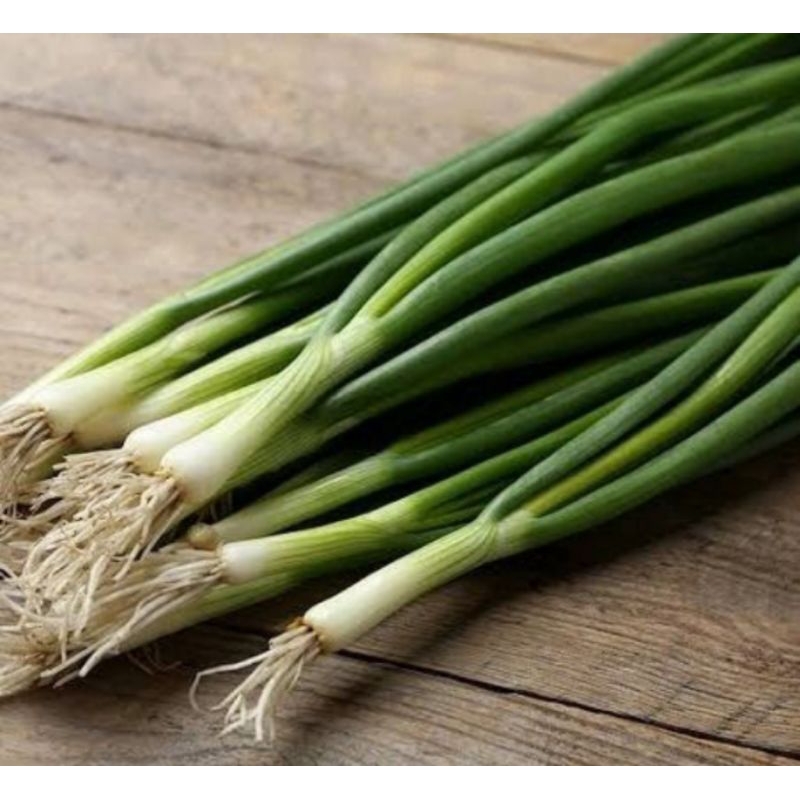 

daun bawang