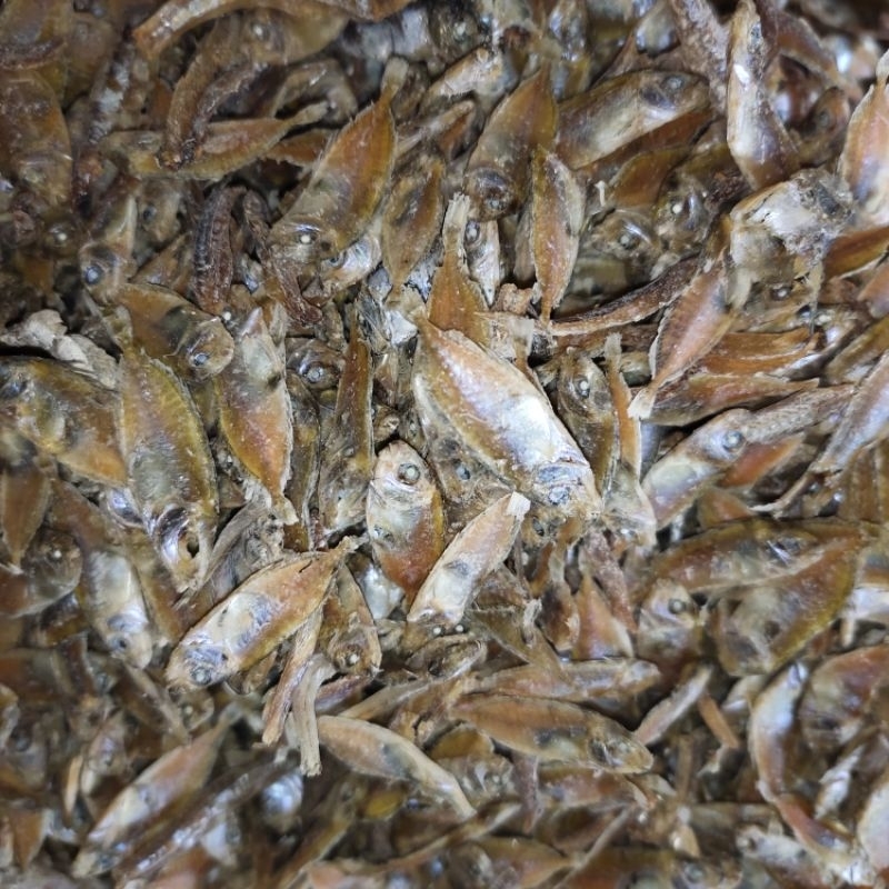 

dangdut ikan asin (250gr)