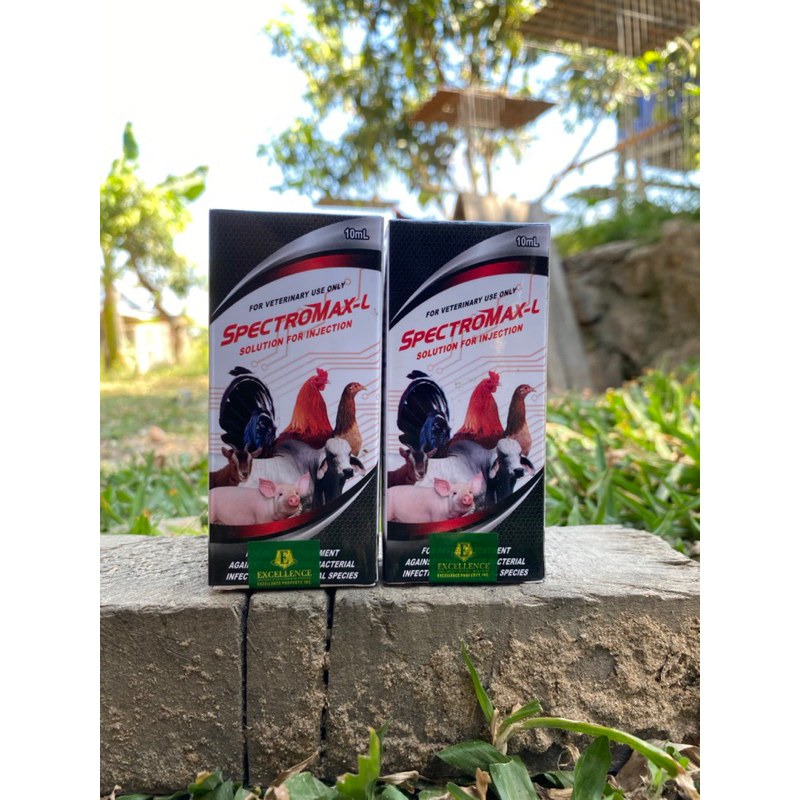 Spectromax-L dulu nama nya L-Spec || impor filipin || obat ayam yg disebabkan bakteri