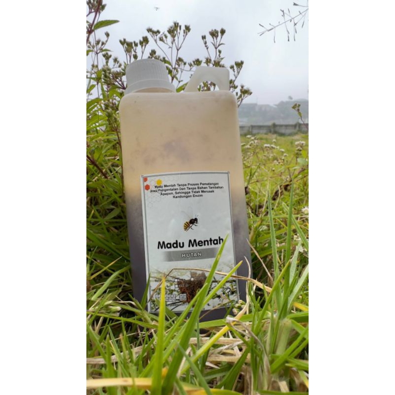 

Madu Mentah (Raw Honey) Madu Hutan Liar Murni Kemasan 1KG