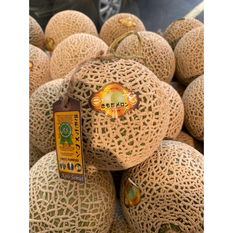 

Melon kimoji sweet | melon kimoji daging lembut manis 1,4 kg
