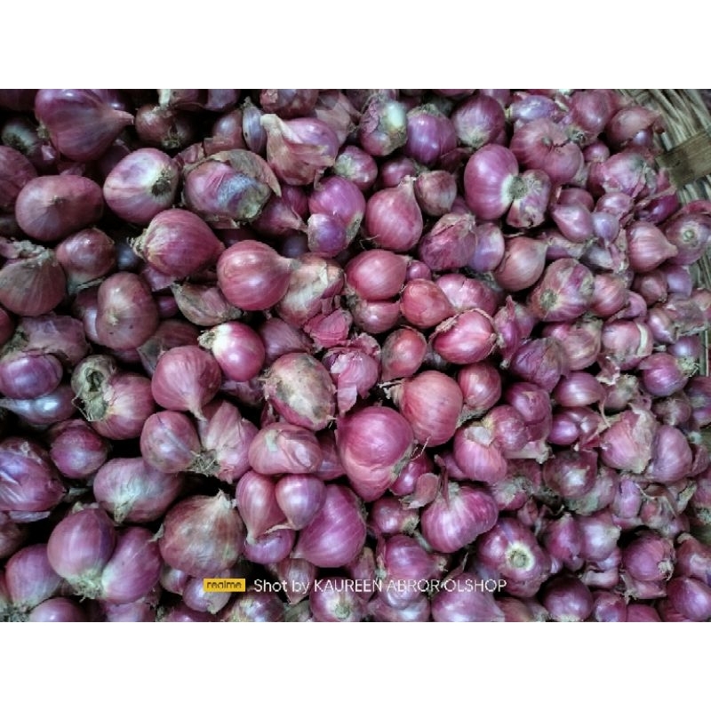 

Bawang Merah 1Kg