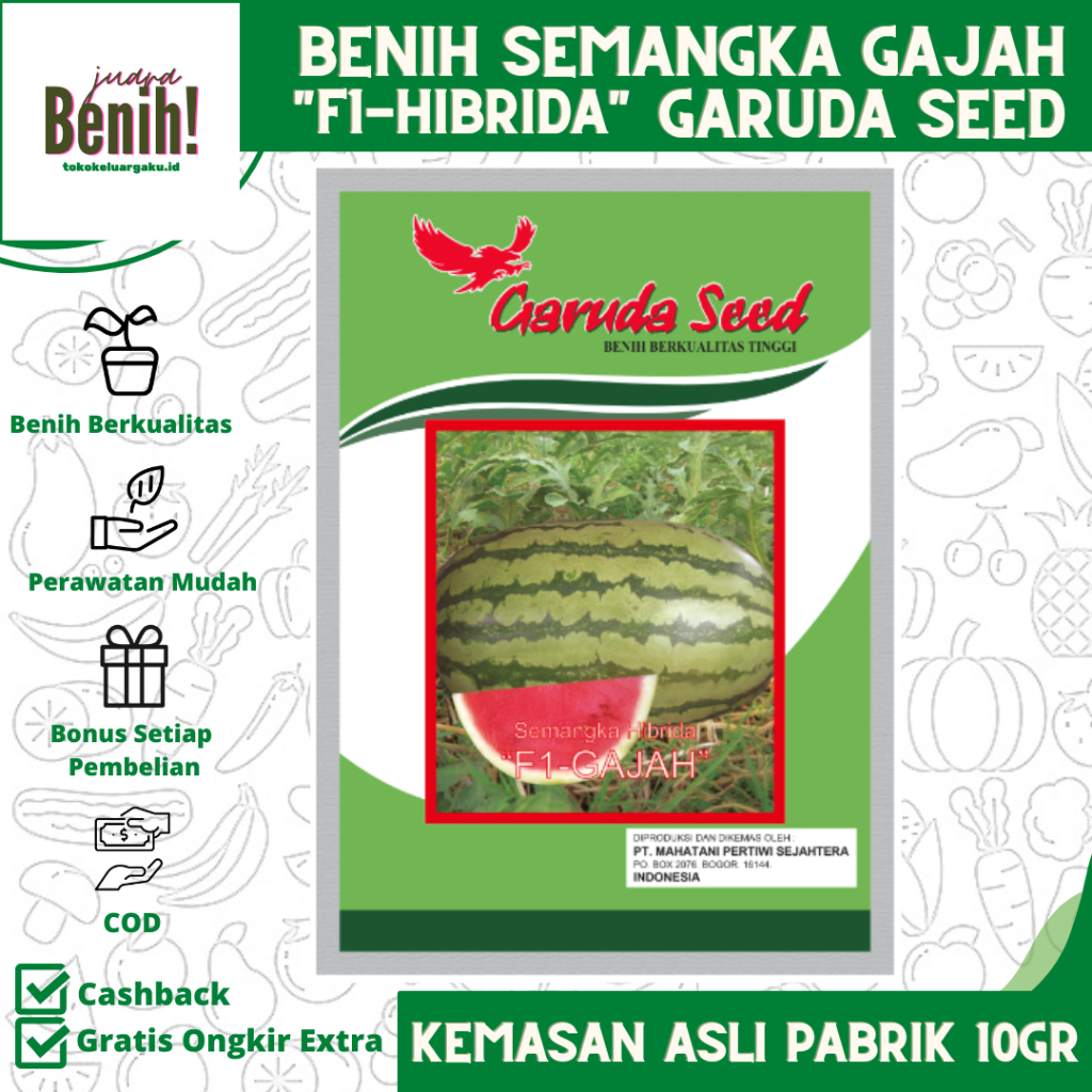 Benih Semangka F1-GAJAH Isi ±250 Biji Benih Semangka Lonjong Bibit Semangka Bibit Semangka Hibrida B