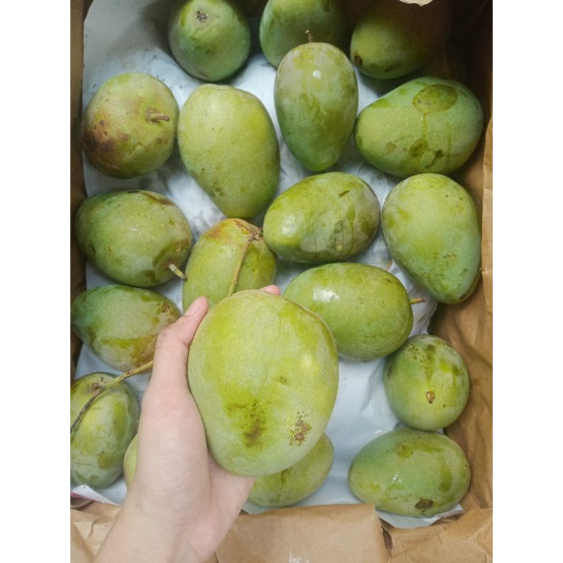 

mangga Jawa 2kg