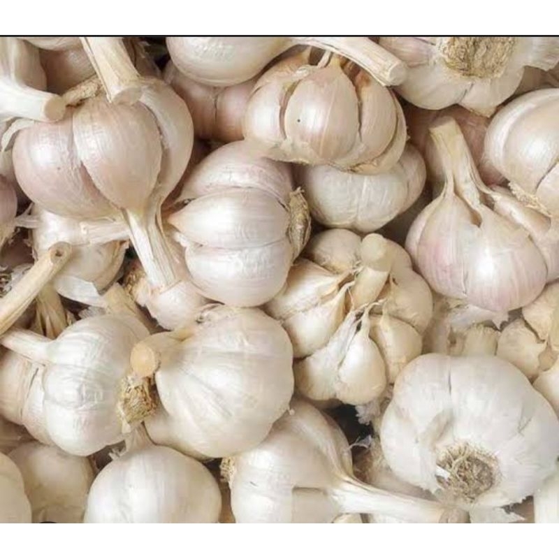 

Bawang putih 1 kg