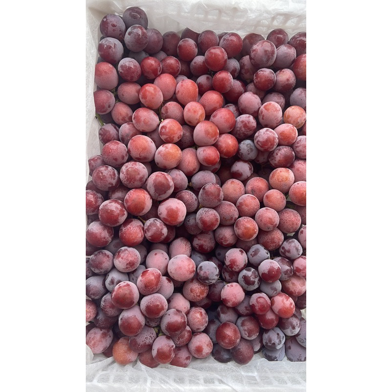 

Anggur Redglobe cina jumbo