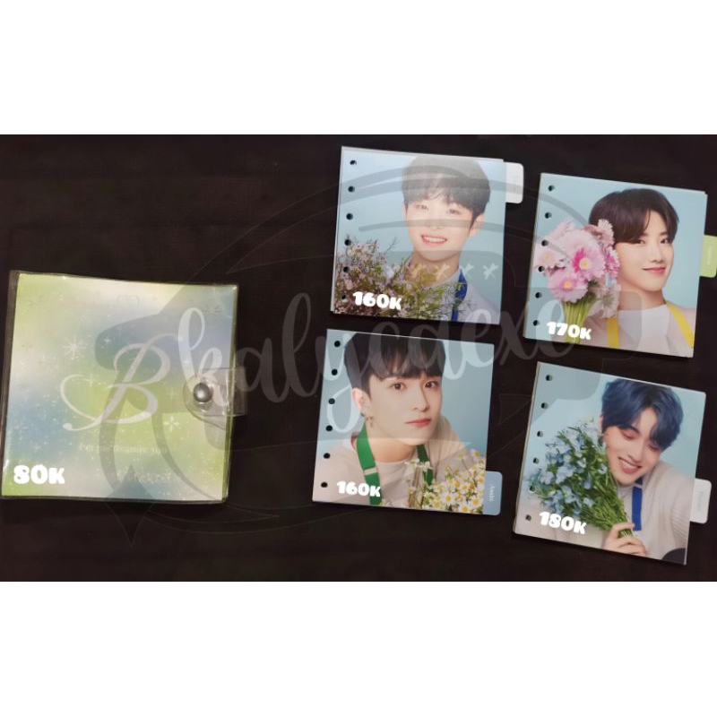 BINDER + SLEEVE BINDER INDEX BLOOMING TREASURE