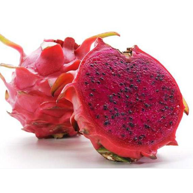 

SayurHD Buah Naga Merah 1KG