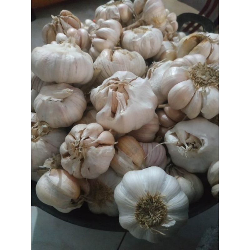 

bawang putih 500gr