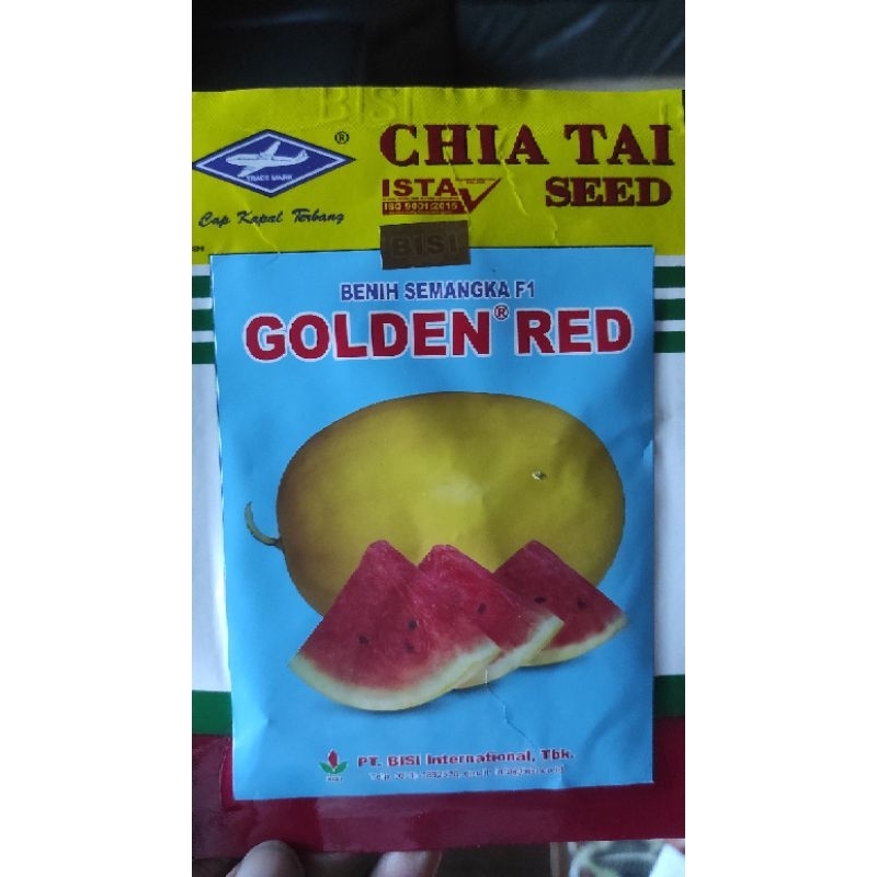 Semangka golden red