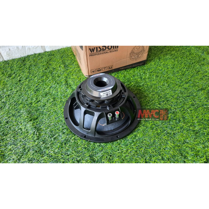 SPEAKER WISDOM 10 INCH W250-10 NEO