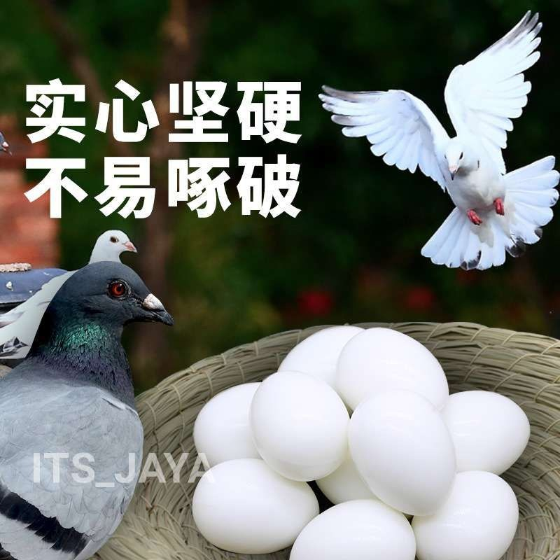 TELUR PALSU MAINAN BURUNG MERPATI TELUR PALSU MERPATI AYAM KATE TELOR TELUR PALSU MERPATI IMITASI BA