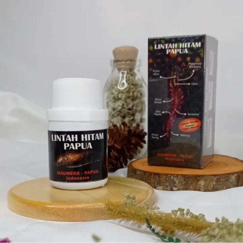 minyak lintah hitam pembesar mr p asli papua indonesia