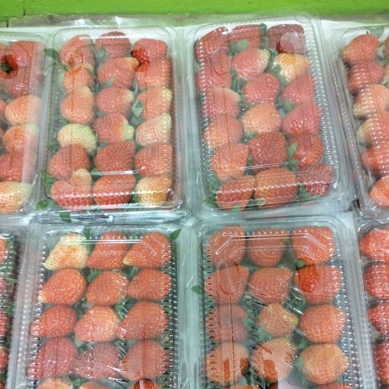 

Stroberi Segar 1 pack