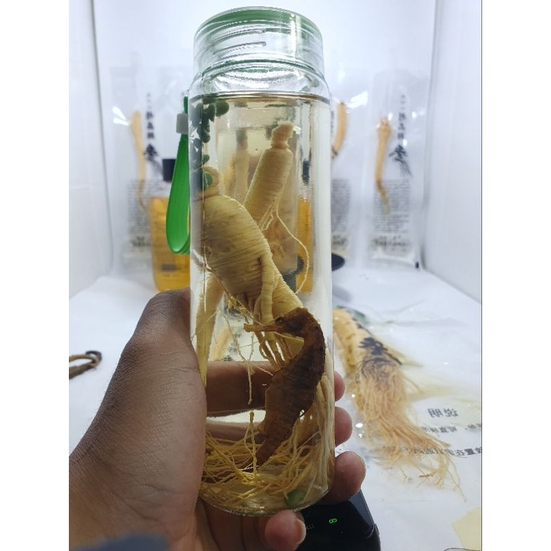 Ginseng PREMlUM Fres Import Asli Ukuran 100 gr + Kuda Laut + Botol Kaca 500 ml